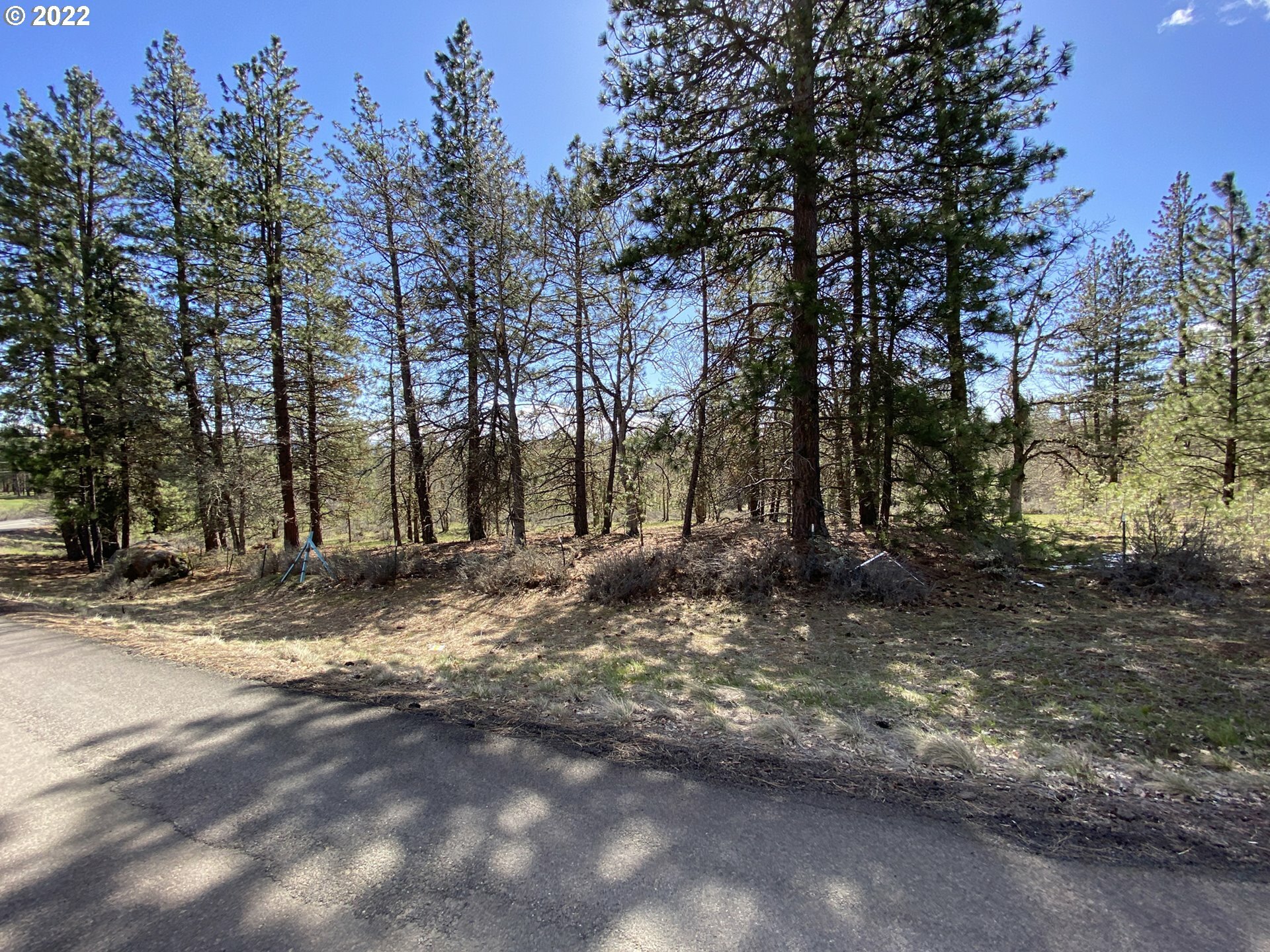 Property Photo:  4 Dancing Mountain Rd  WA 98620 