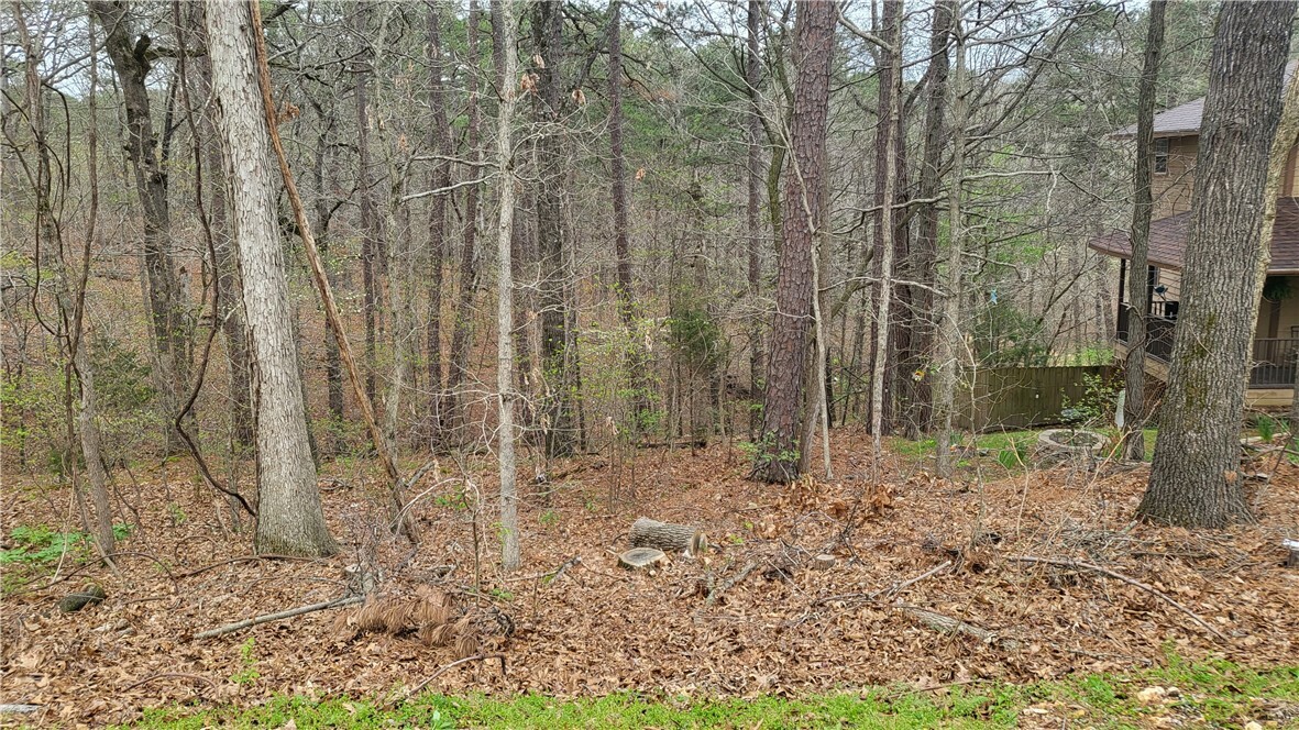 Property Photo:  Lot 20 Block 11 Buckingham Drive  AR 72714 