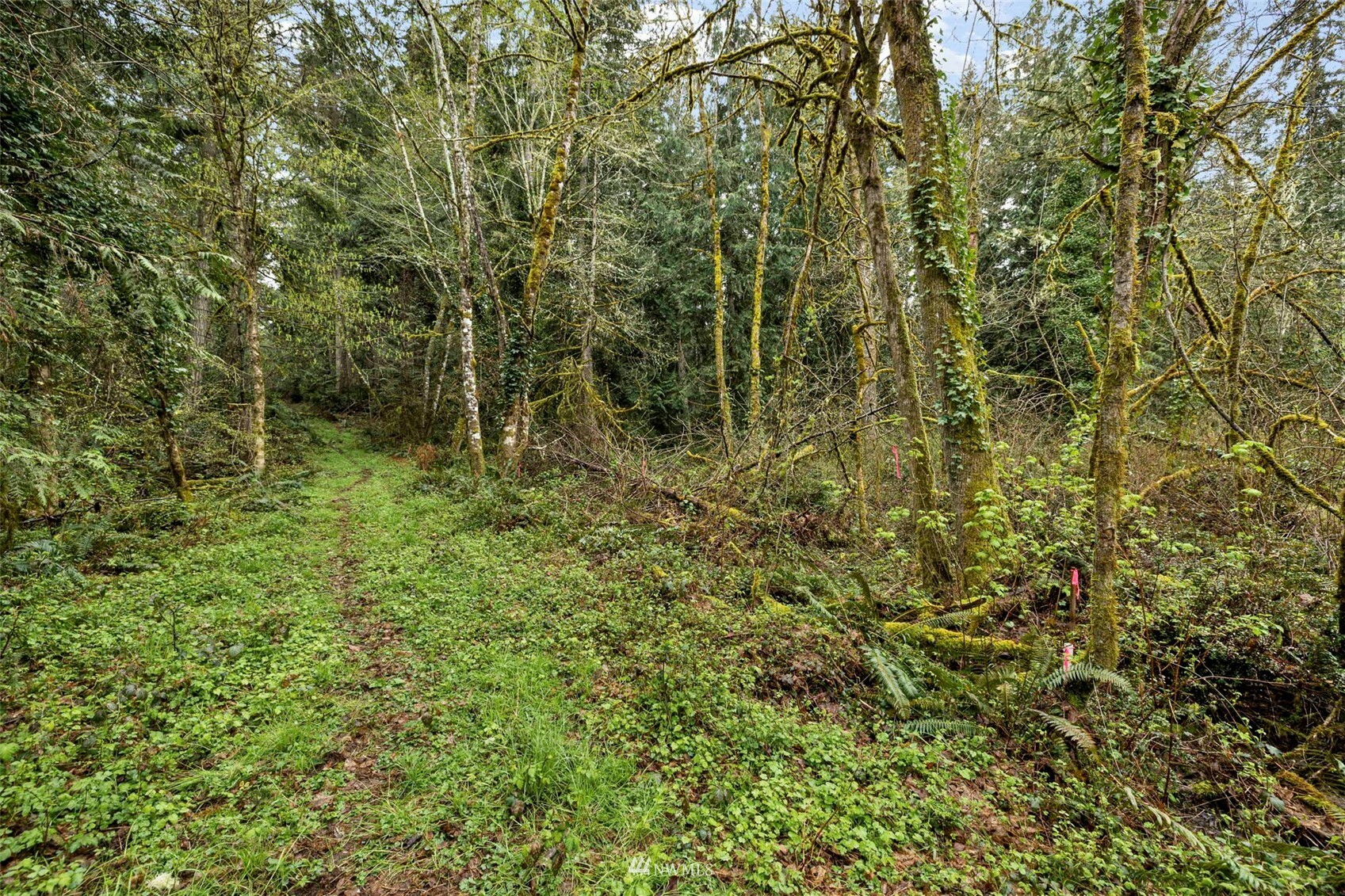 Property Photo:  720 8th Avenue  WA 98333 