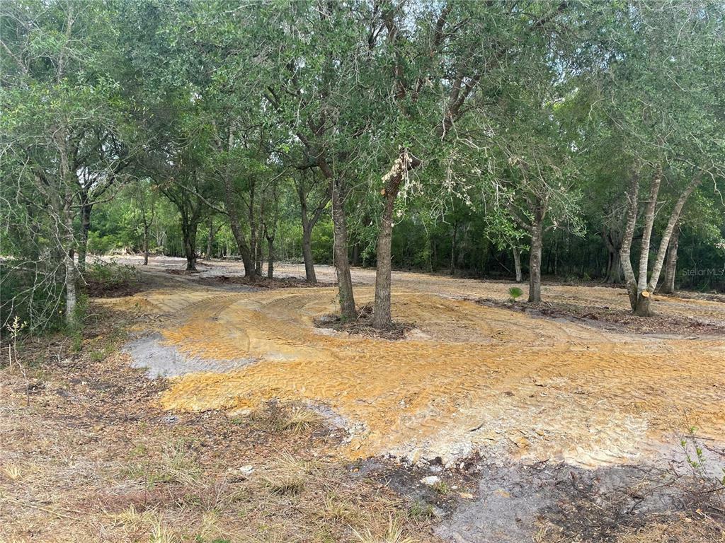 Property Photo:  4004 SE County Road 760A  FL 34266 