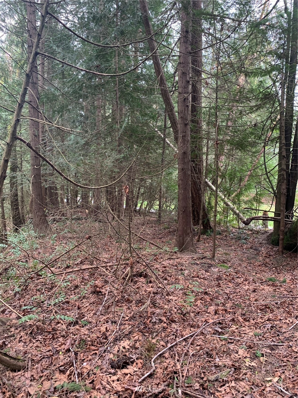 Property Photo:  0 Sahalee Way NE Lot D  WA 98074 