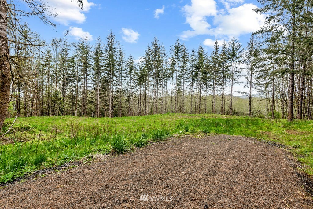 Property Photo:  135 Elochoman Valley Road  WA 98612 