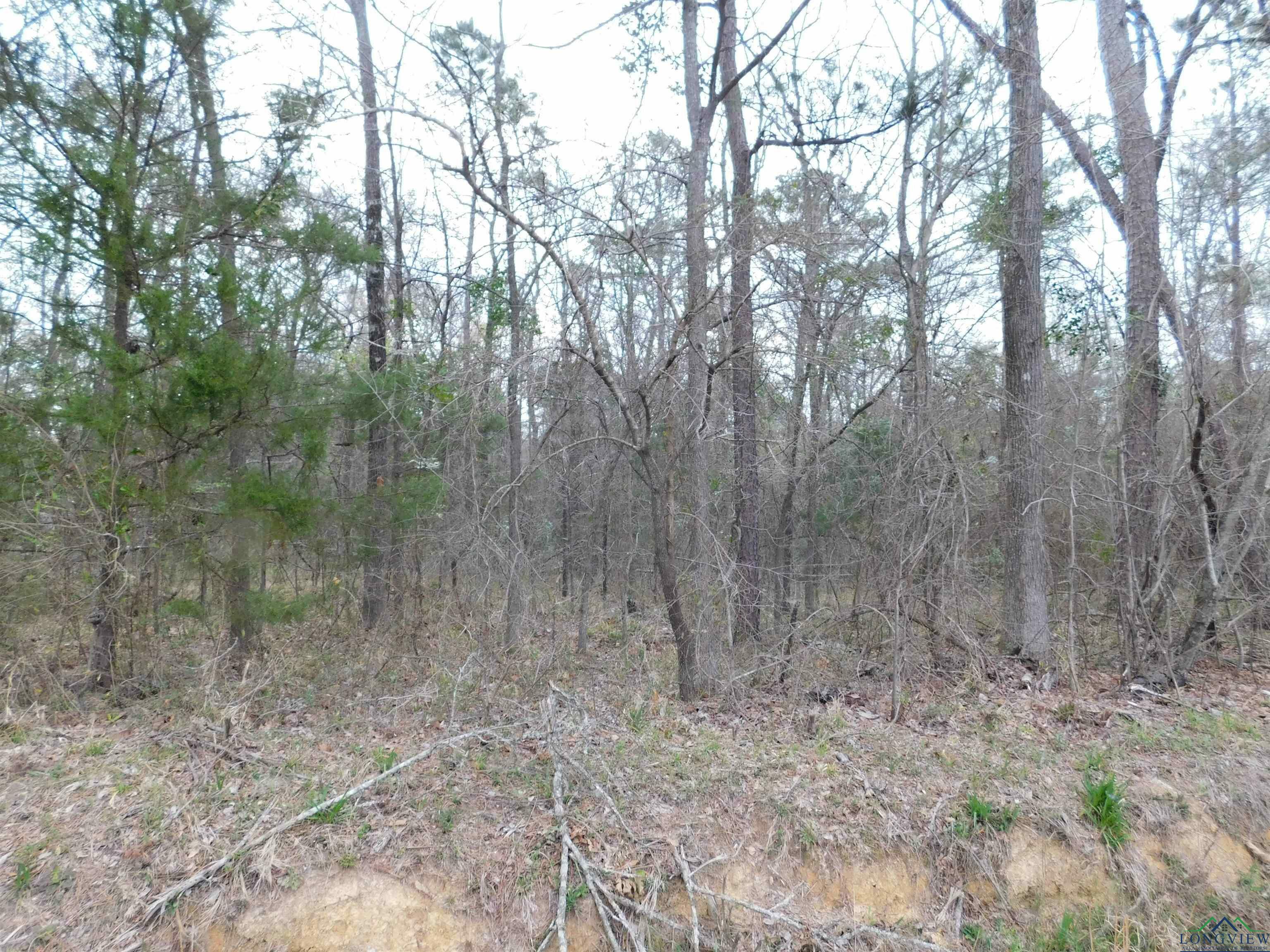 Tbd Hackberry Rd  Gilmer TX 75644 photo