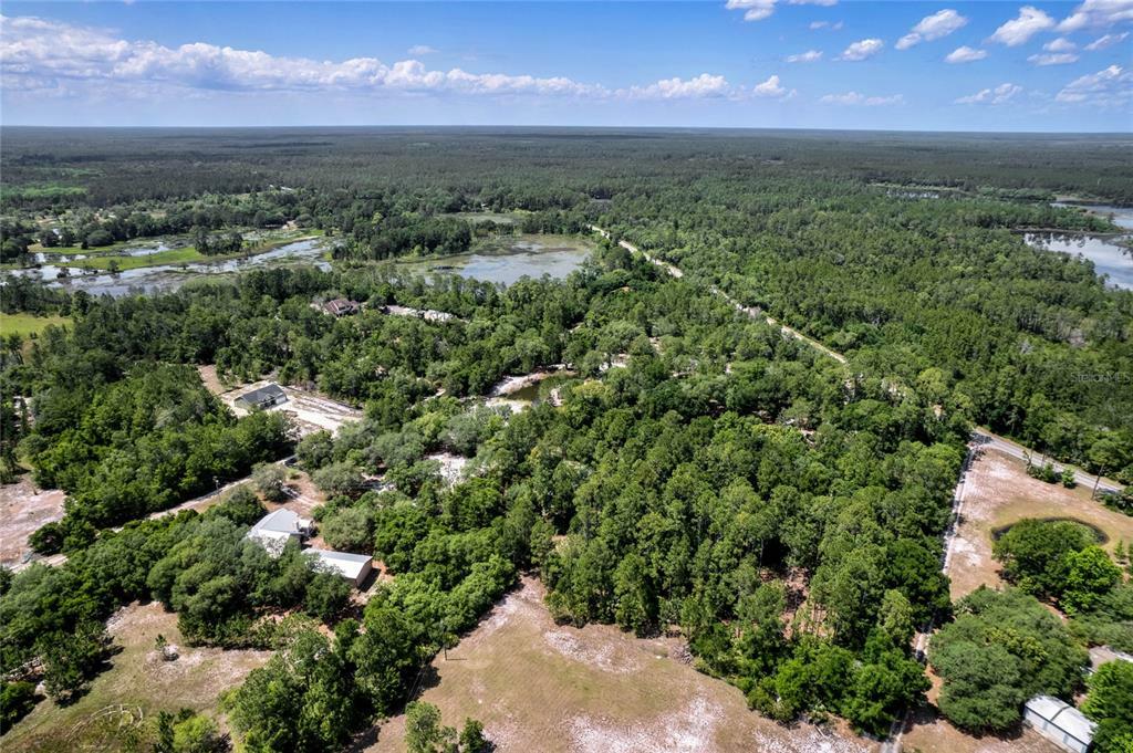 Property Photo:  Tree Farm Road  FL 32720 