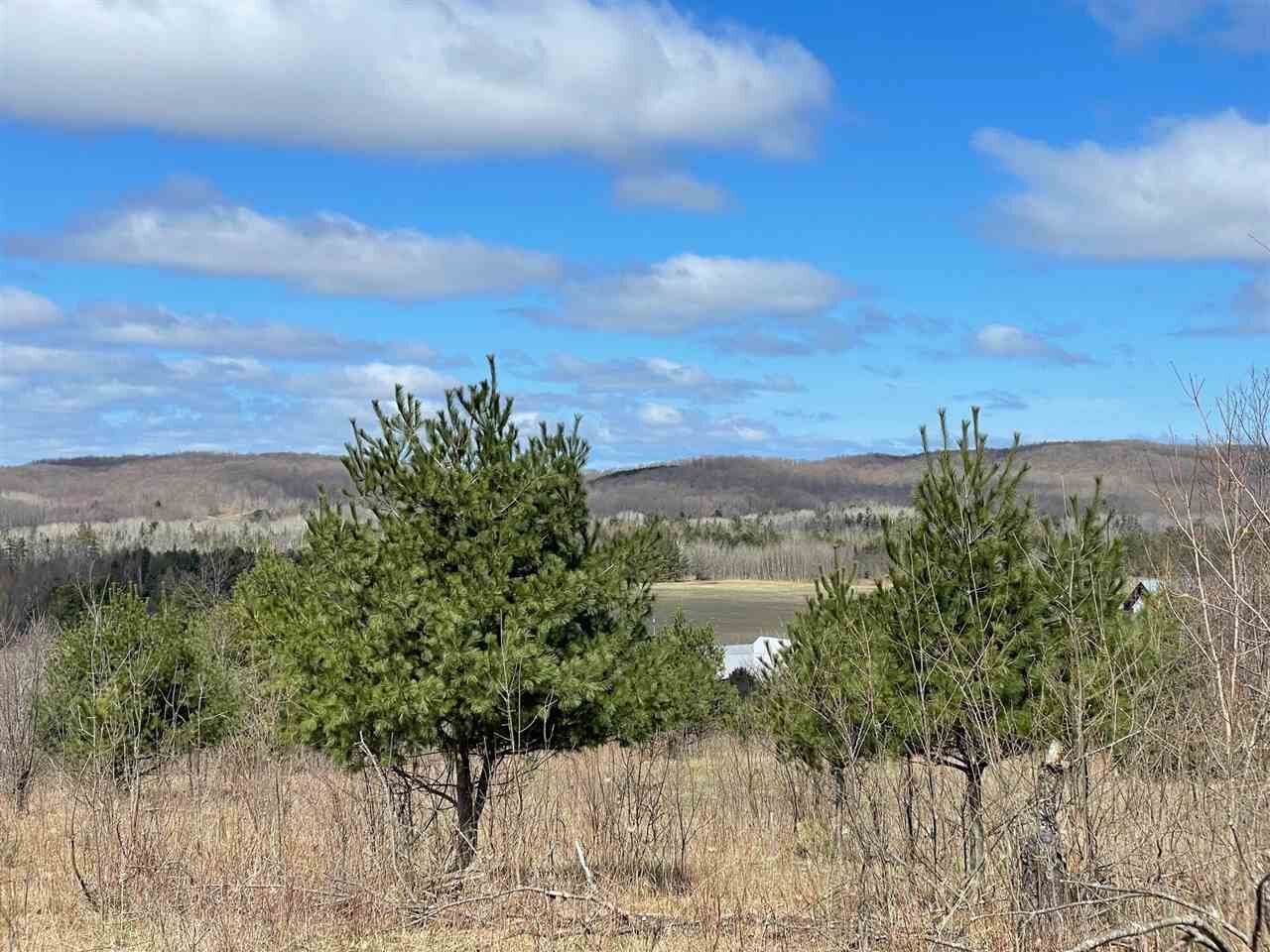 Property Photo:  Tbd S Springbrook  MI 49713 