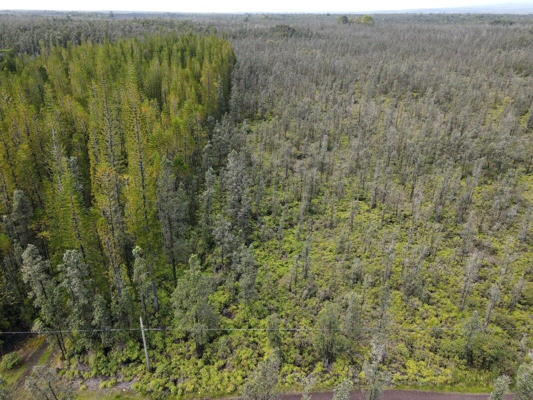 Property Photo:  Uau Rd (Road 5)  HI 96771 