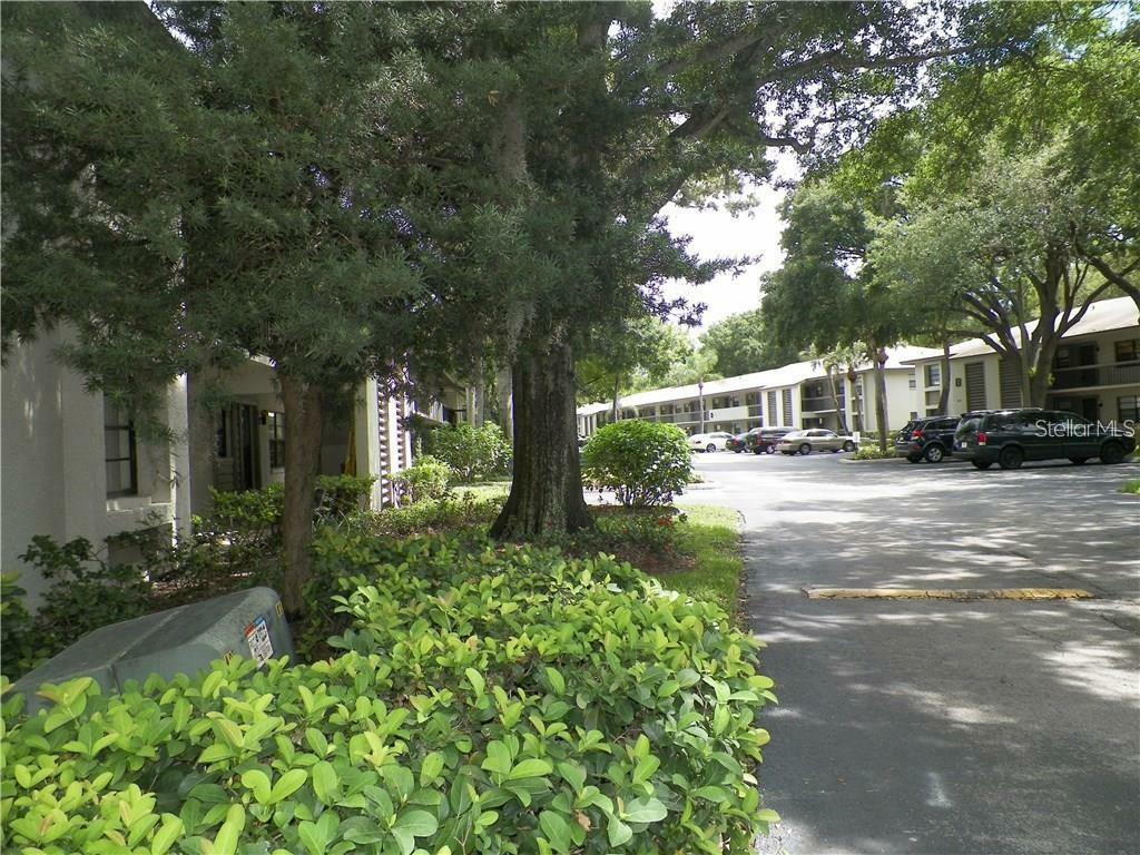 Property Photo: 3046 Eastland Boulevard J204 FL 33761