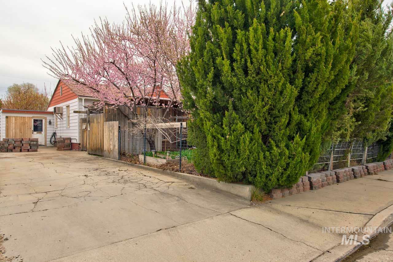 Property Photo:  516 Nectarine St  ID 83686 