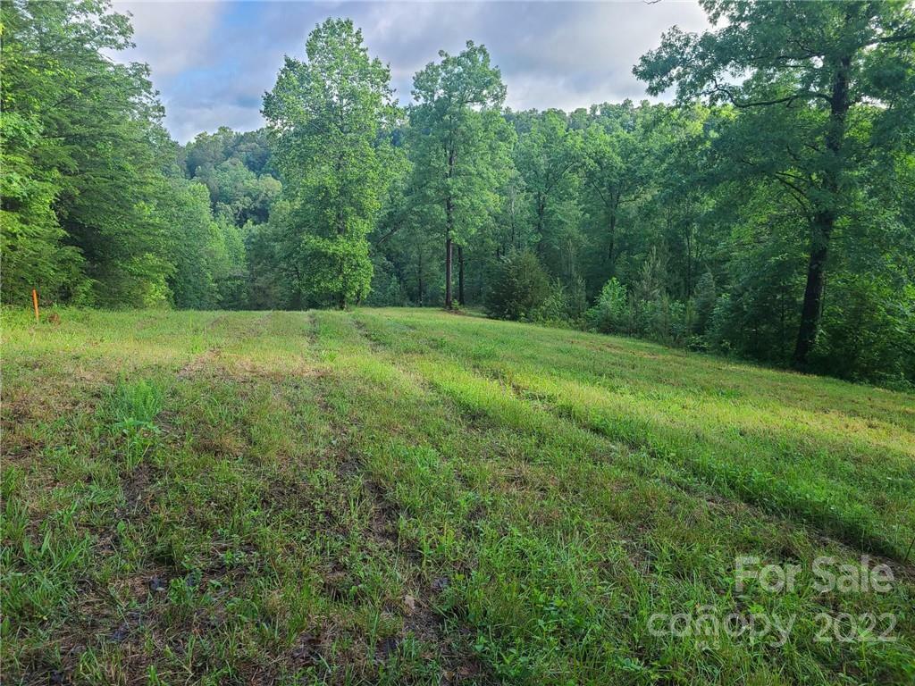 Property Photo:  00 Polk County Line Road  NC 28139 