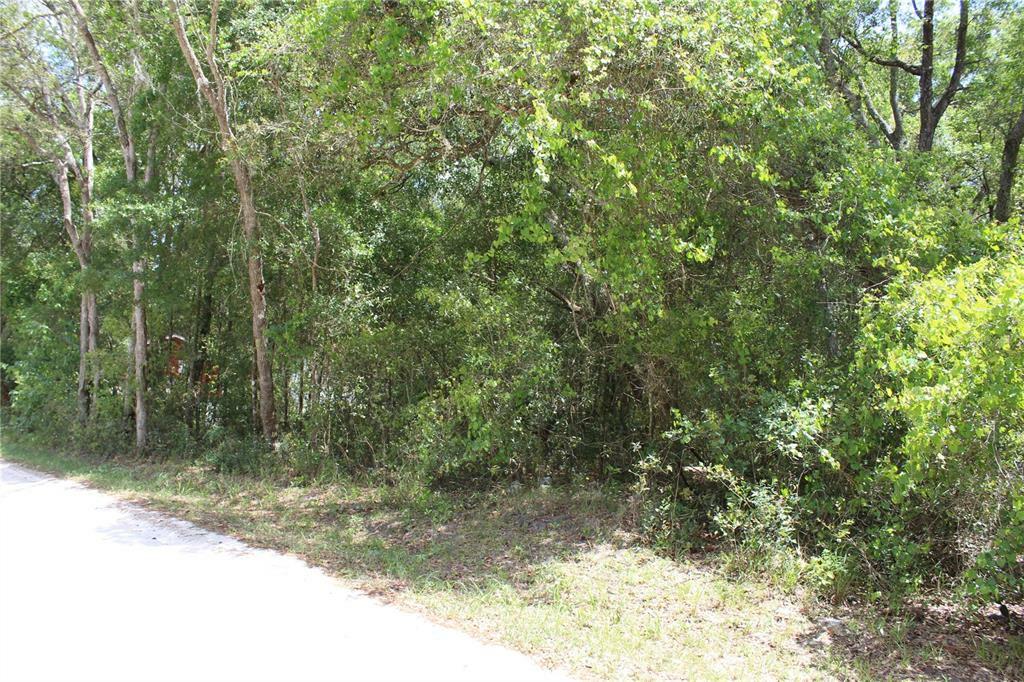 Property Photo:  W New York Avenue  FL 32763 