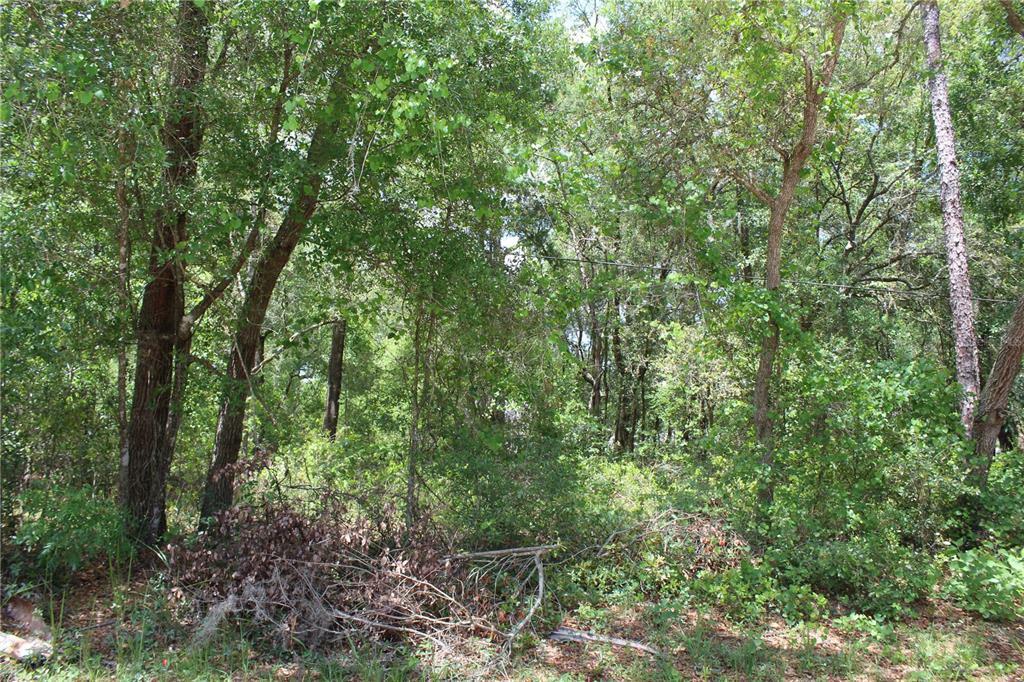 Property Photo:  W New York Avenue  FL 32763 