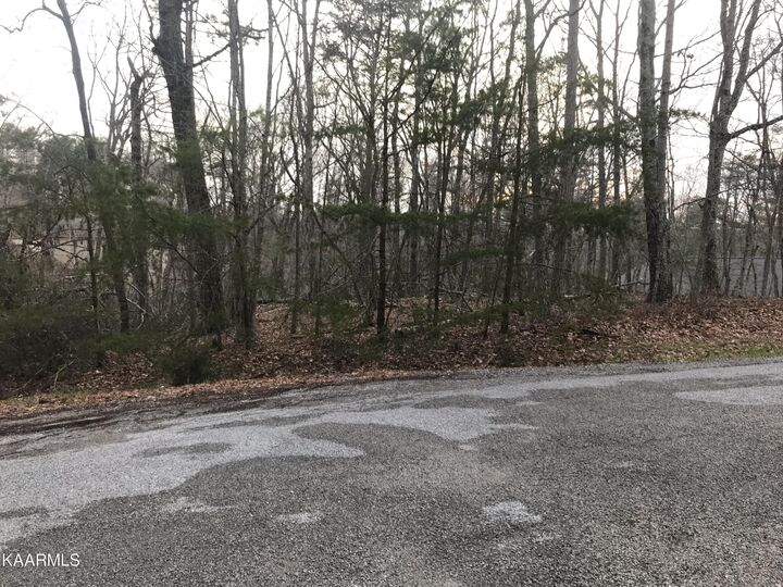 Property Photo: 22 Harrell Lane TN 38558