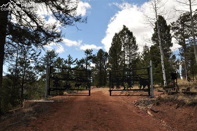 Property Photo:  411 Gold Dust Creek Road  CO 80816 