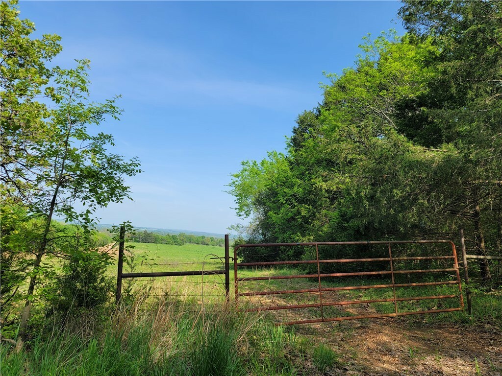 Property Photo:  2010 County Road 239  AR 72632 