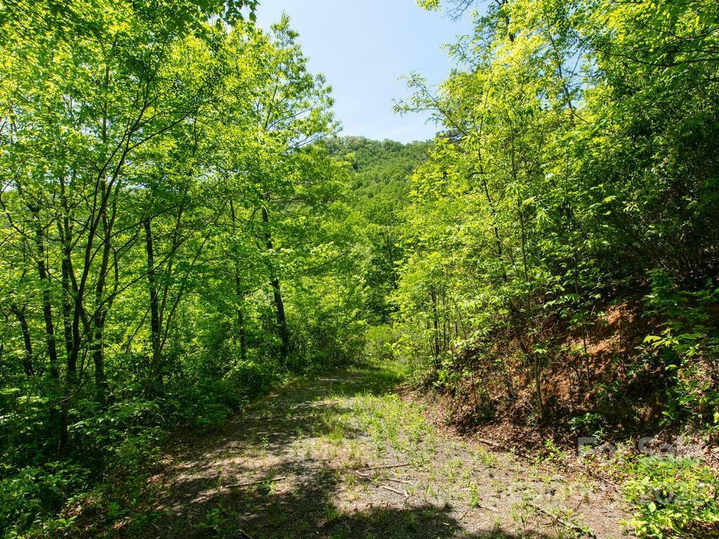 Property Photo:  10 Turkey Trot Trail  NC 28779 