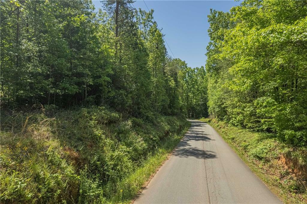 Property Photo:  0 Mount Pleasant Church Road  GA 30528 