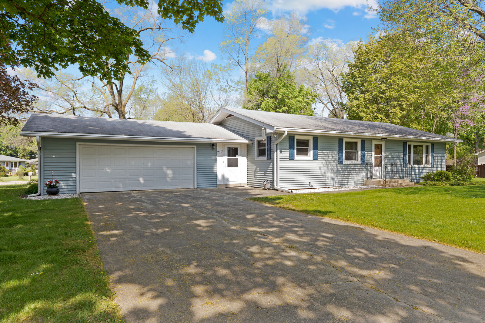 Property Photo:  217 King Avenue  IL 60118 