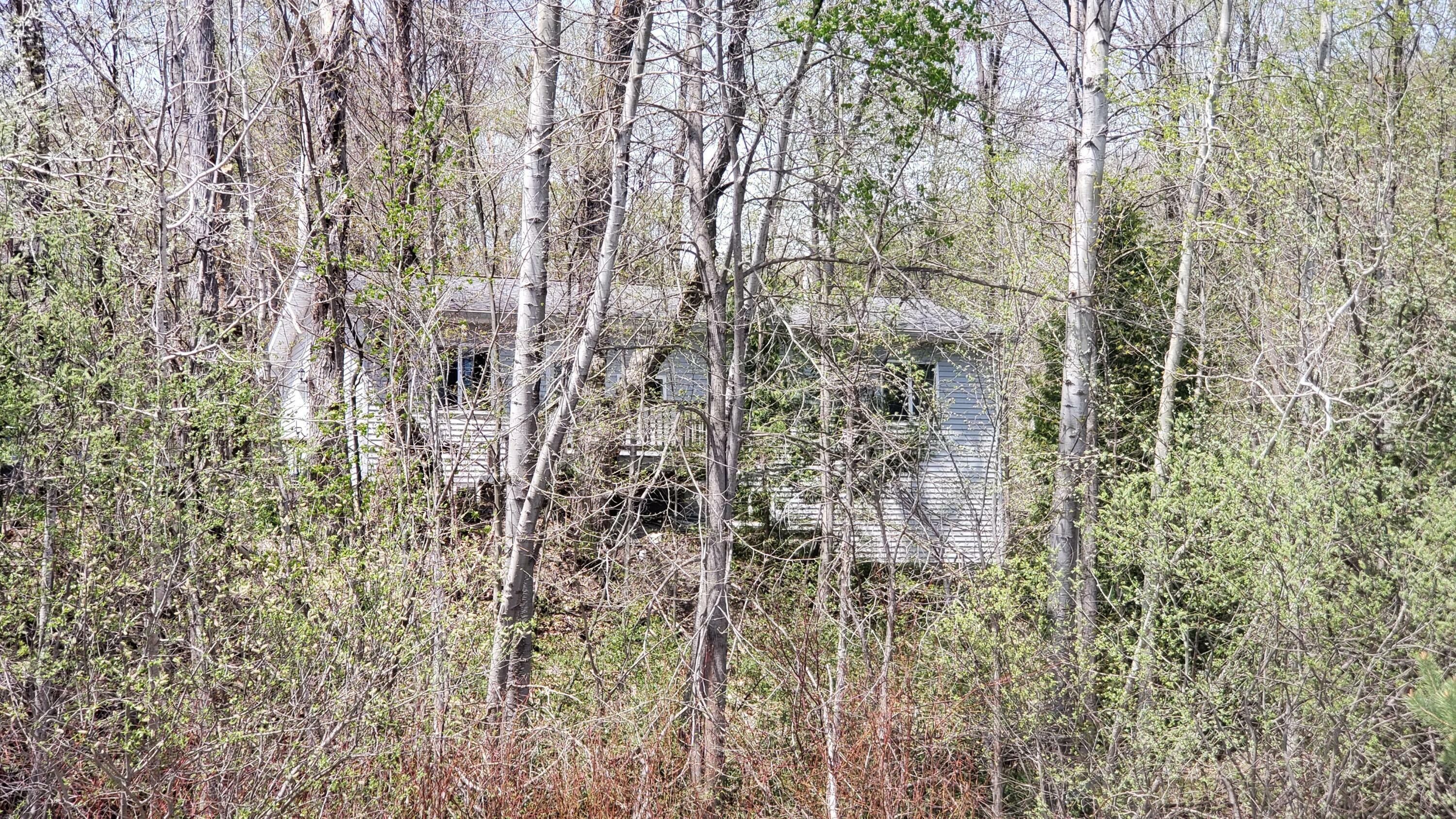Property Photo: 2020 Polish Line Road MI 49721