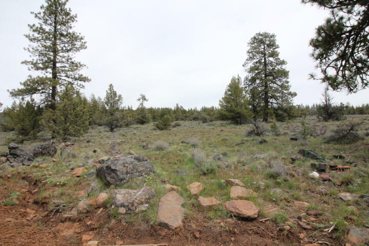 Property Photo:  Bluejay Drive Lot 10  OR 97623 