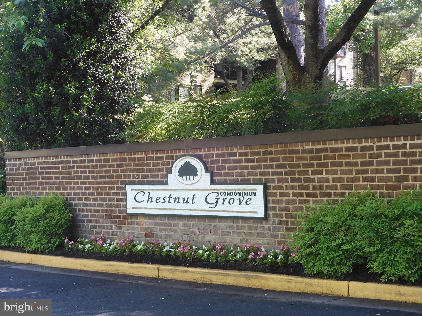 Property Photo: 11204 Chestnut Grove Square 11204-108 VA 20190