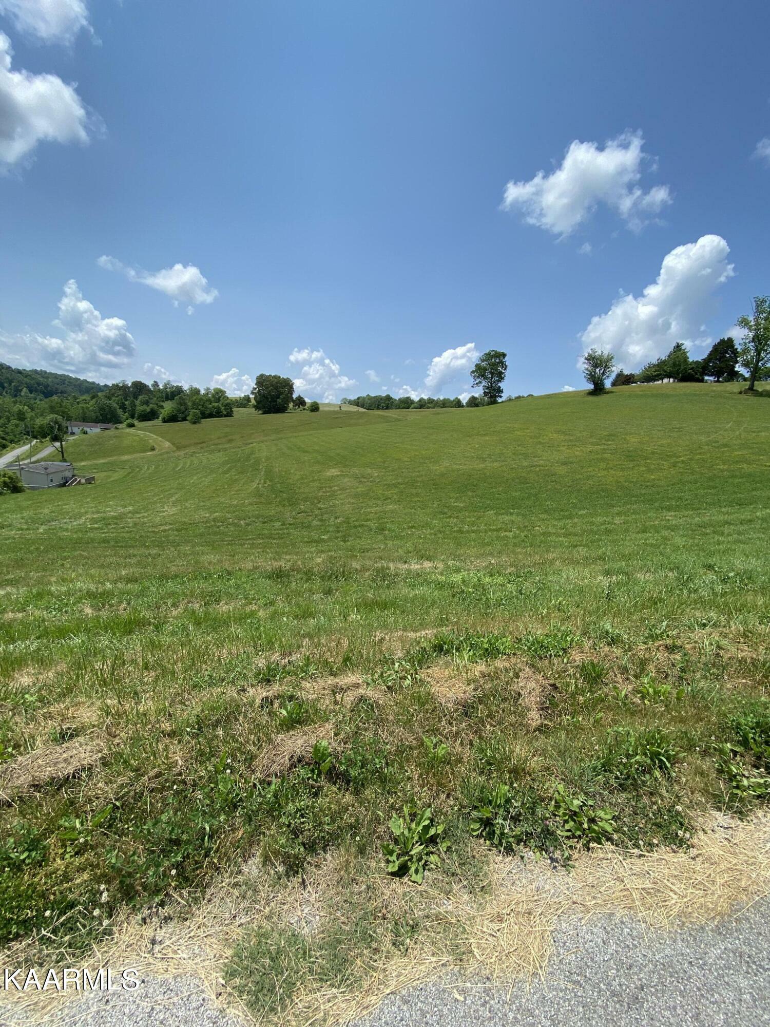 Minton Rd  New Tazewell TN 37825 photo