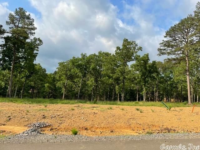 Orchard Hill Lot 1 Ph. 2  Conway AR 72034 photo