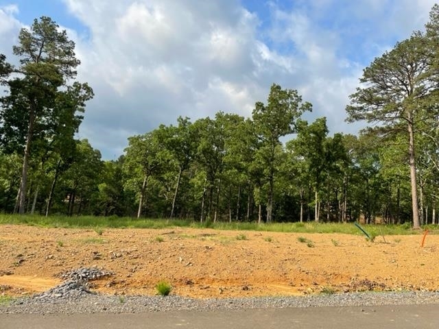 Property Photo:  Orchard Hill Lot 1 Ph. 2  AR 72034 