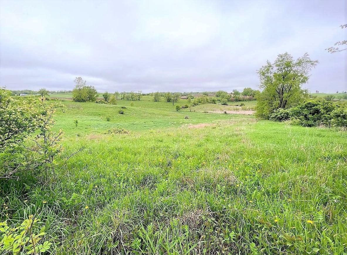 Property Photo:  20 +/- Acres South Brookville Rd  WI 54665 