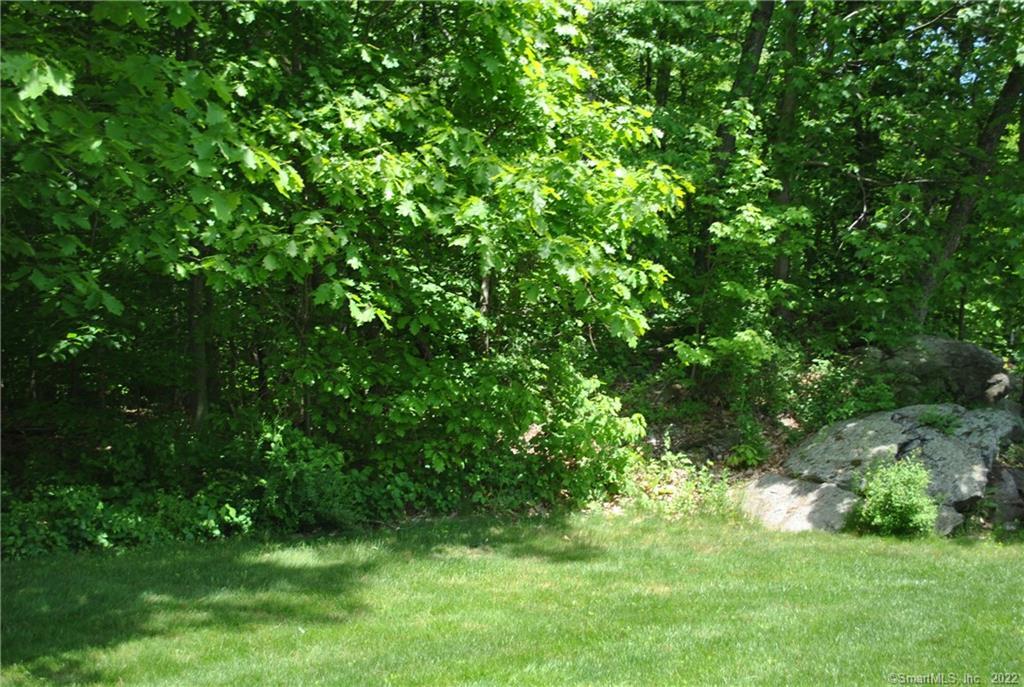 Property Photo: 0 Silver Birch Road CT 06776