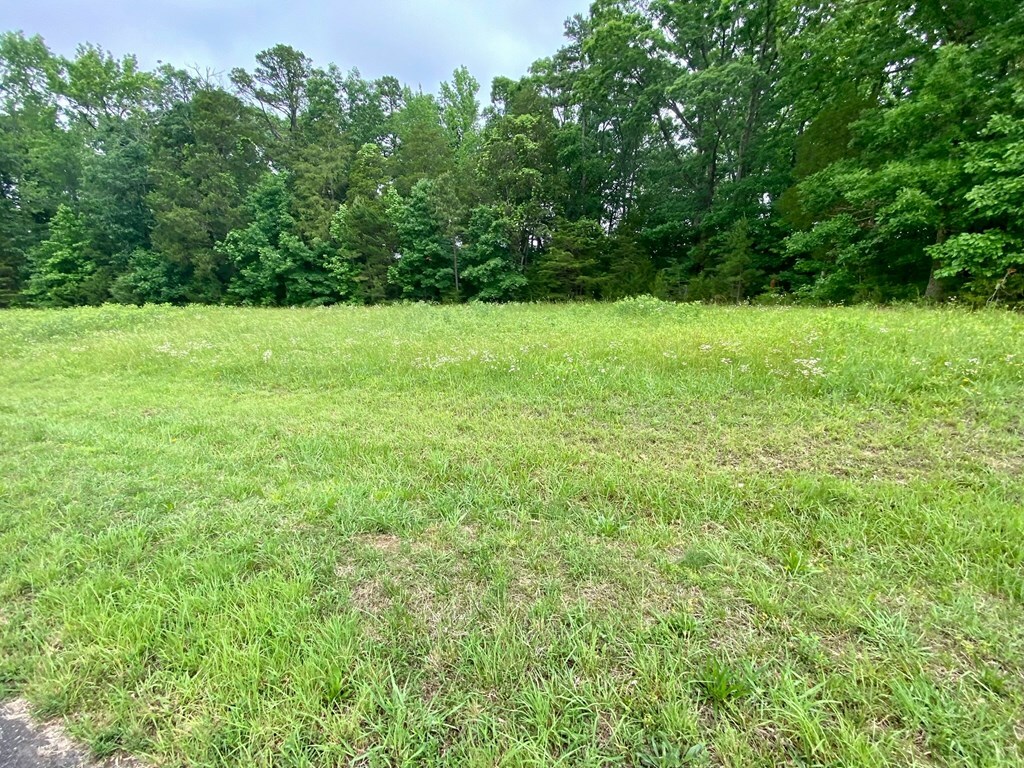 Property Photo:  Lot 7 Fern Ridge  VA 23927 