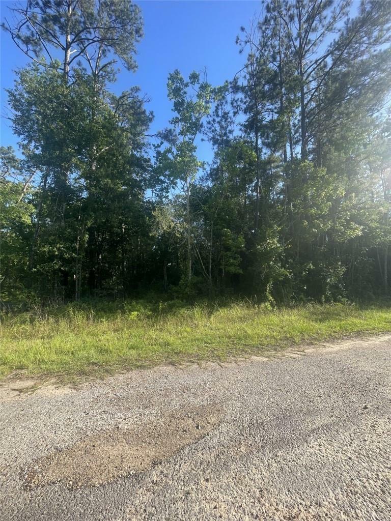 Property Photo: Ginger Lane LA 70657
