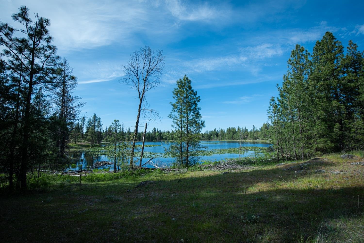 Property Photo:  Xxxx W Page Pond Ln  WA 99022 