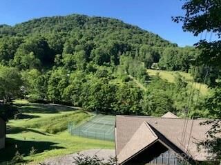 Property Photo: 00 Buckeye Drive 35 NC 28786