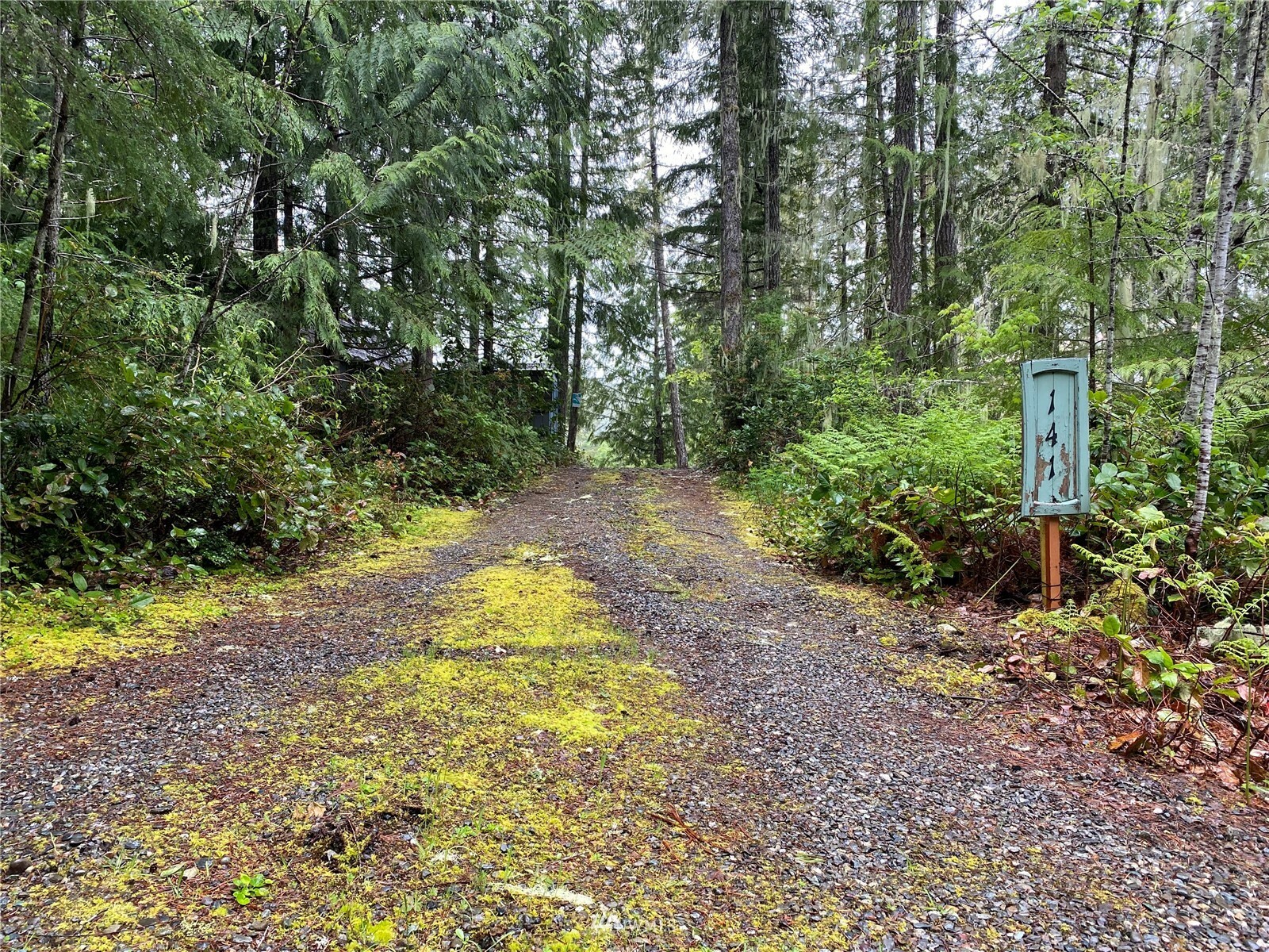 Property Photo:  141 N Mallard Way W  WA 98548 