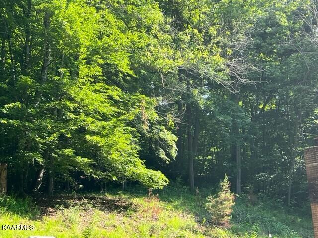 Property Photo:  140 Seiber Lane  TN 37705 