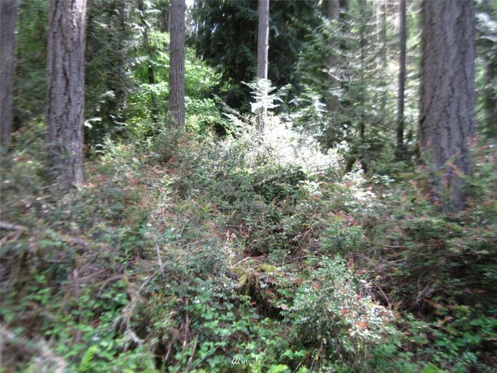 Property Photo: 11513 Breaker Way WA 98303