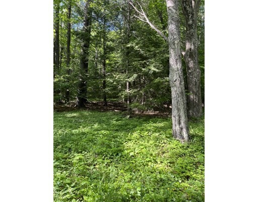 Property Photo:  0 Packard Road  MA 01026 