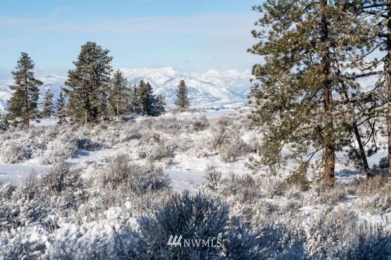 Property Photo:  410 Hummingbird Road  WA 98802 