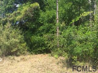 Property Photo:  132 Plain View Drive  FL 32164 