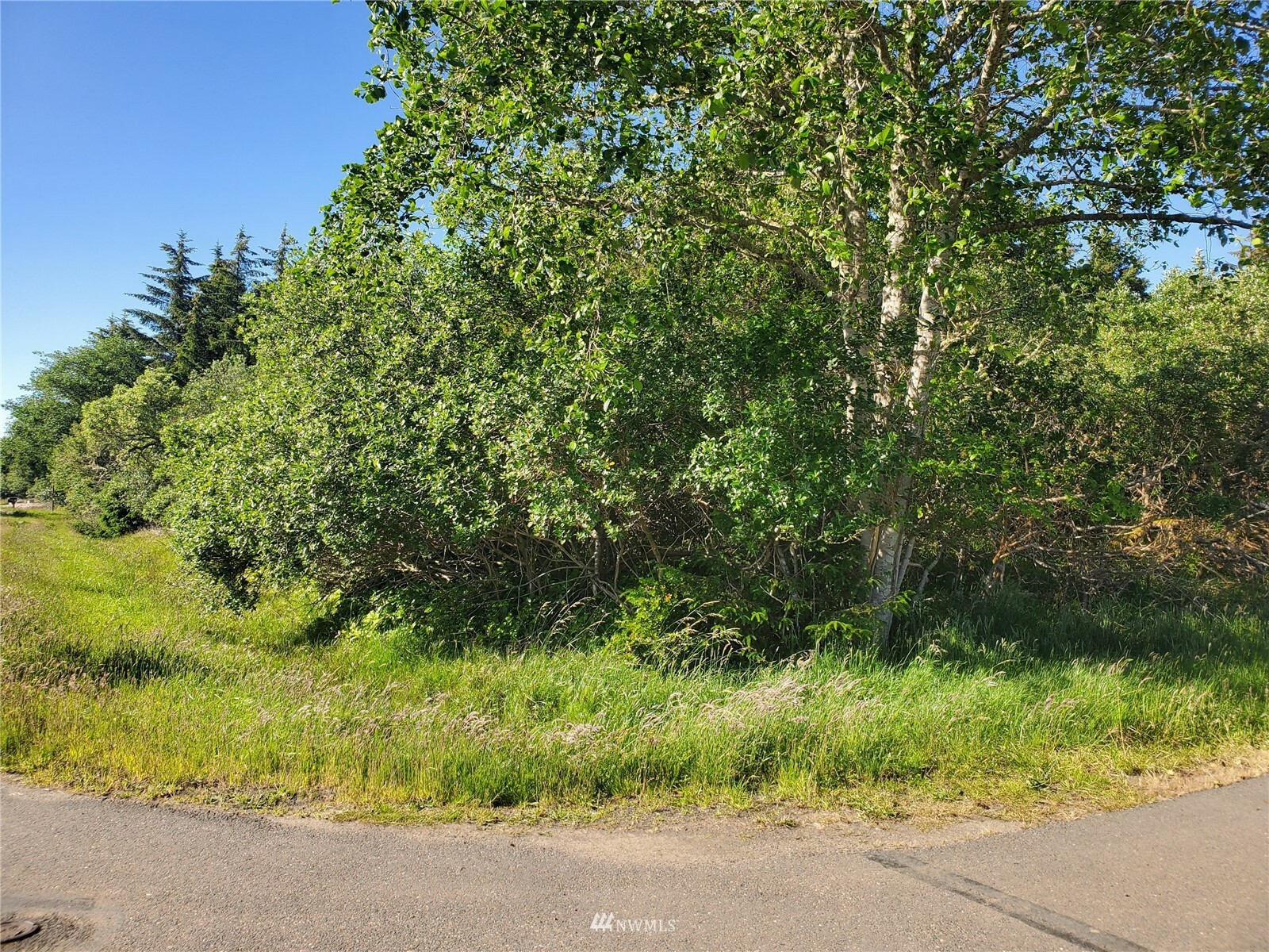 Property Photo:  814 Wawona Avenue SW  WA 98569 