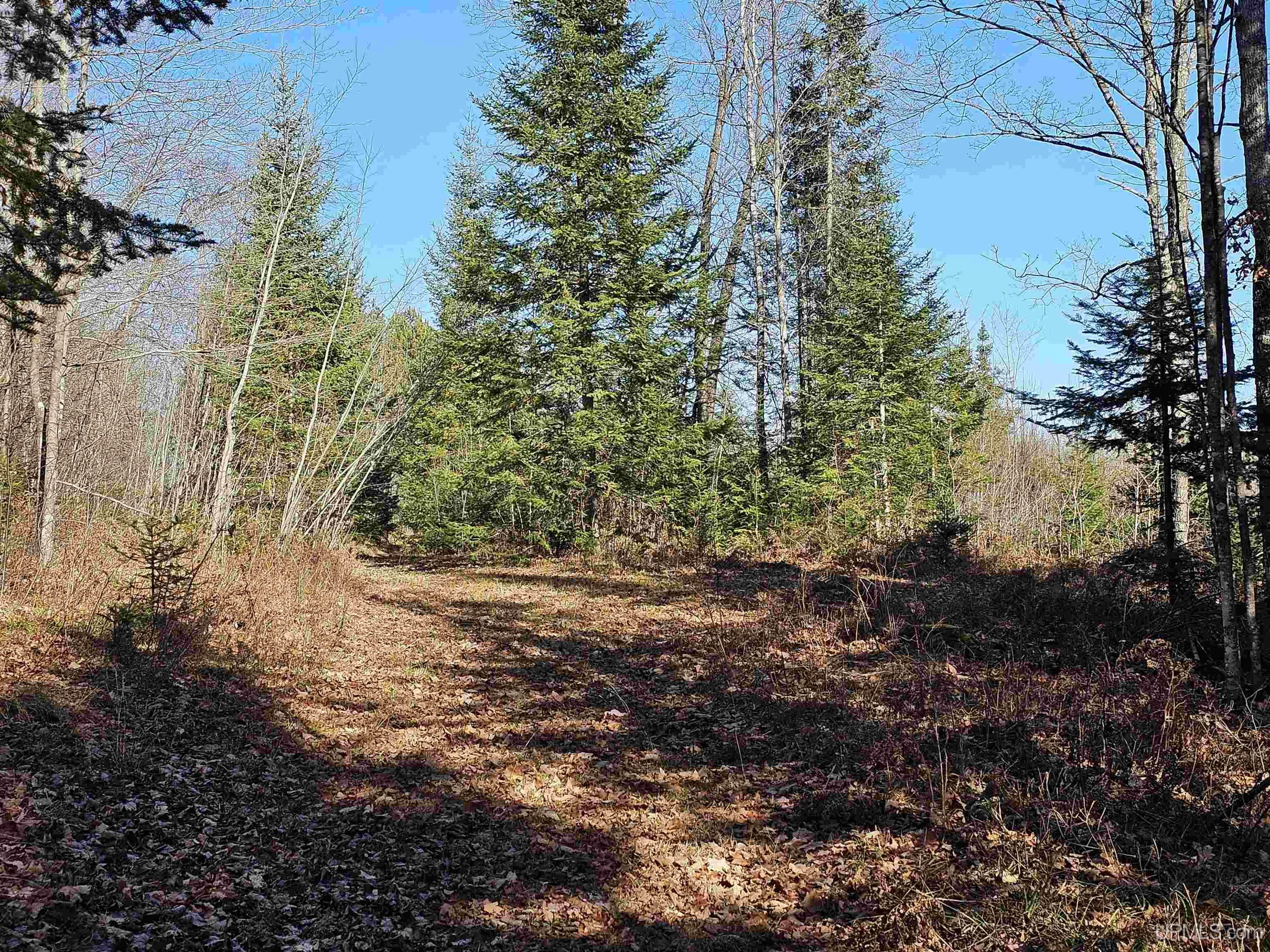 Property Photo:  Lots 1 &Amp 2 Cataldo  MI 49935 