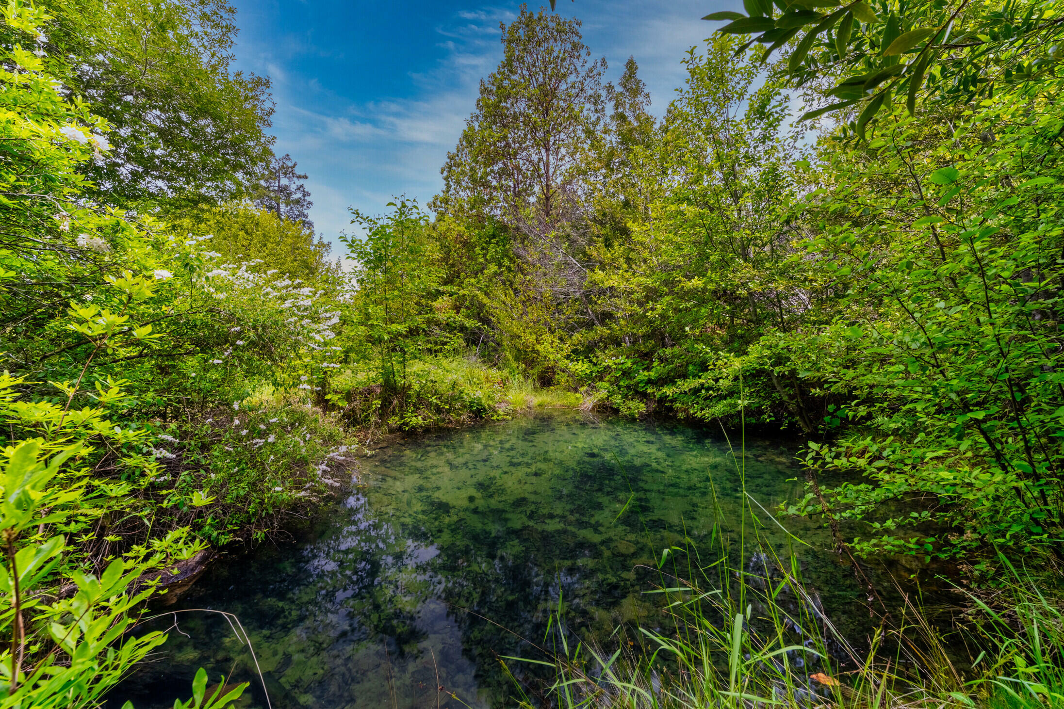 Property Photo:  1245 Iron Gate Road  CA 95546 