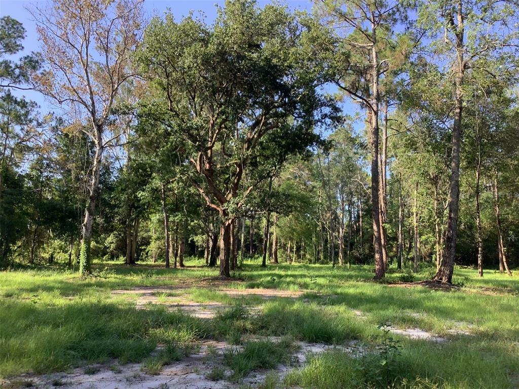 Property Photo: 2711 State Road 33 FL 34714