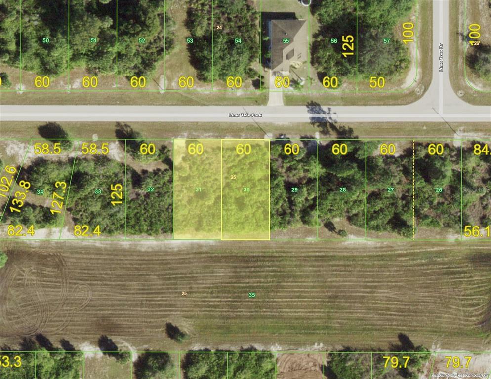Property Photo: 159 Lime Tree Park FL 33947