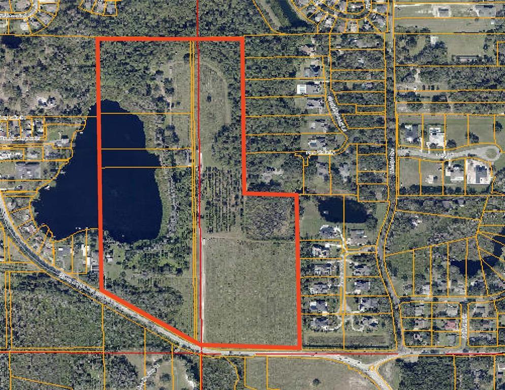 Property Photo: 19201 Gunn Highway FL 33556