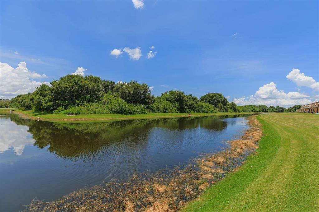 Property Photo:  2438 Edgewater Falls Drive  FL 33511 