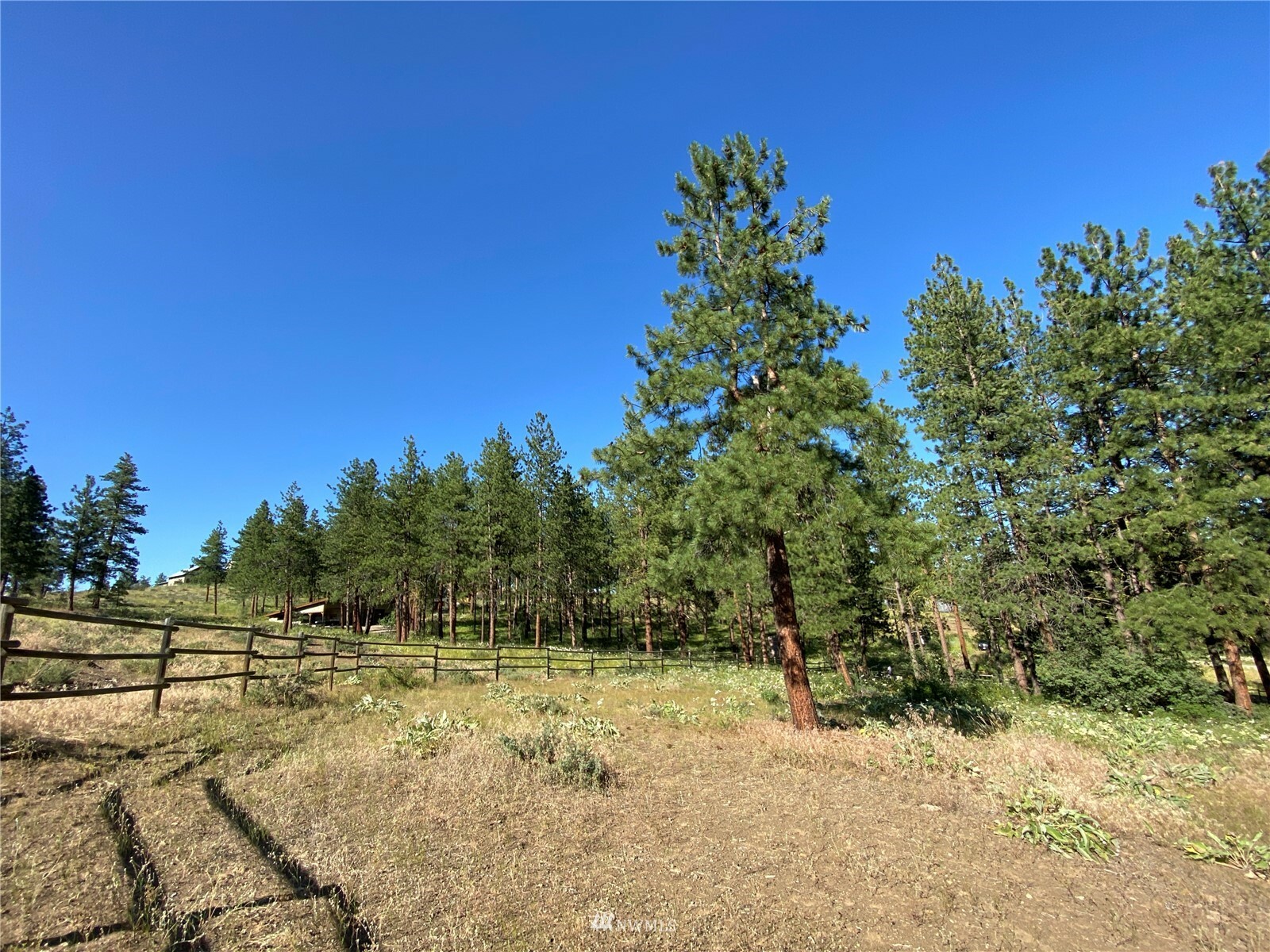 Property Photo:  0 Lot 116 Nighthawk Ridge Road  WA 98862 