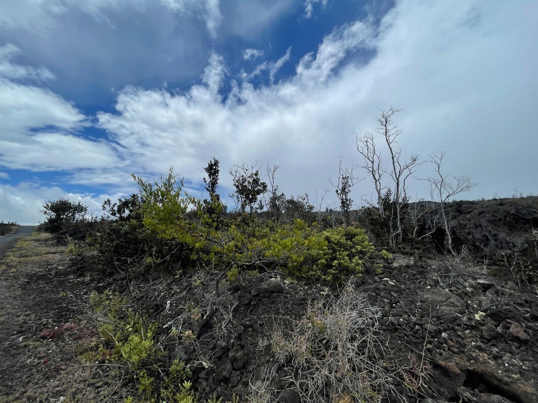 Property Photo:  Reef Pkwy  HI 96737 
