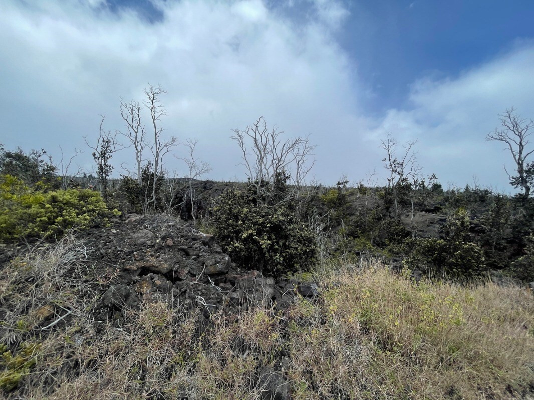 Property Photo:  Reef Pkwy  HI 96737 