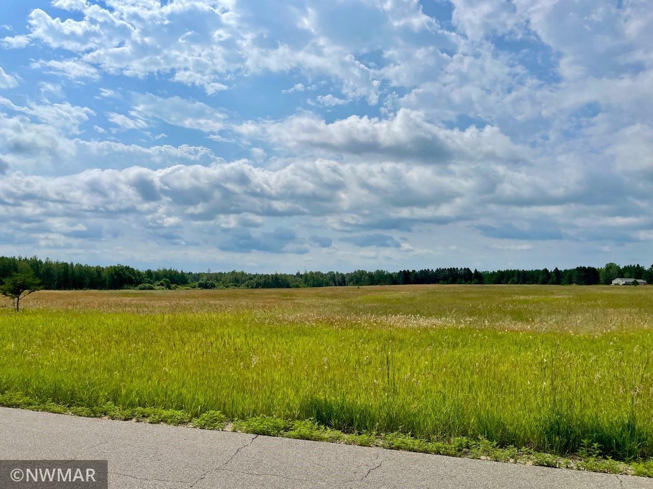 Property Photo:  Tbd Carr Lake Road SW  MN 56601 